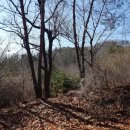 신하농장 이미지