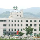 푸른요양병원 네이버블로그