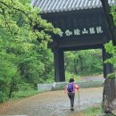 비슬산군립공원 Daum카페