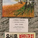 죽전누리사우나 이미지