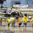 팜힐링고