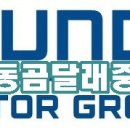 곰달래중앙점현대자동차 이미지