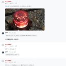 미니스토브