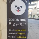 코코아도그 이미지