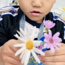 화가마을미술교습소 | [새롬동미술학원/새롬동미술/새롬동미술교습소] 교육상담, 미술체험 후 100% 등록! 오픈, 2월 후기🫧