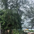 FIT BODY GYM 이미지