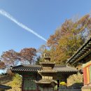 동구의 유산들을 만나고 왔습니다