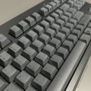 리얼(REAL)PC방 | 리얼포스 R3 저소음 무접점 키보드 Realforce R3TL 텐키리스 30g 구매 후기