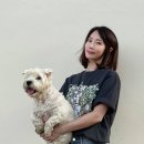 이의후 개인전 이미지