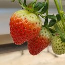 가좌농장 이미지