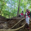 2025년 08월 30일 - Turkey Run Park Trail 이미지