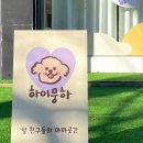 하이뭉하 네이버블로그