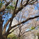 귀인동-4 이미지