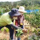 고양농장2 이미지