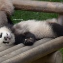 모전여전 이미지