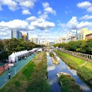 지에스25응암불광천점 | 불광천 은평누리축제 2025 일정 시간표 가수 라인업 후기