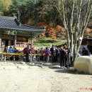 또국수한그릇 Daum카페
