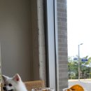 레이지데이(LAZY DAY)
