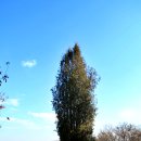 무봉산둘레길 이미지