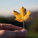 늘푸른돌봄센터 이미지