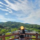 6월 4주 차 주간 일기(용인 자작나무 숲, 육아 용품 나눔, 집밥, 부부 모임, 수전 교체, 광교 호수공원)