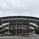 위즈파파 이미지