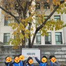 경희대 위드 태권도 이미지