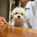 손에 쥐는 영어 회화 200 즐기기 - 초급편 (2) | [베트남 무이네&amp;호치민 3박 5일 여행-1] 비엣젯항공/호치민공항 환전/호치민공항에서 무이네