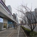 1공구공인중개사사무소 이미지