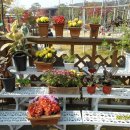 덕평자연휴게소 이미지