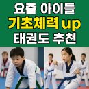 태양태권도장 이미지