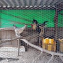 운장산가든 이미지