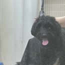 구르미살롱 이미지