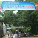 신송농장 Daum카페