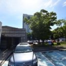 녹색흑염소 이미지