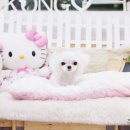 아콩하우스 이미지