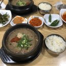 [제주도 맛집] 솔직후기 꼭 가봐야 할 제주 맛집 리스트