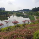 대아수목원&대아호 이미지
