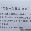 세영자동차공업사 네이버블로그