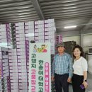 흥부골