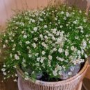 왕우농장 이미지