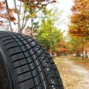 더타이어샵 고잔점 이미지