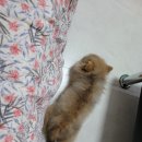투독플레이스펜션