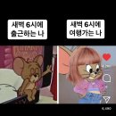 봄나들이 GO! 유정투어 🌼💛