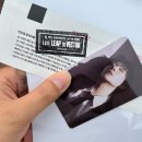 14화. LV4 : LEAP TO VECTOR 막콘 후기