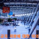 자유로행정사 이미지