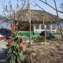 순천만여행 이미지