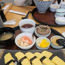 진심참치초밥