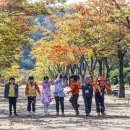 마로니에길 이미지