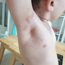 천연비누+아로마 생활용품 만들기 이미지